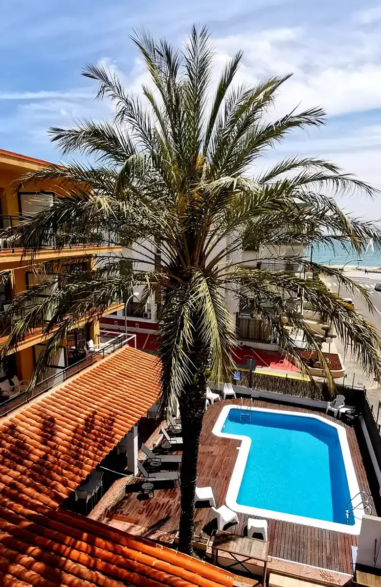 Vista aérea del hotel con la piscina y las palmeras